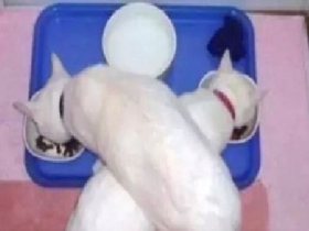 韩信与天时地利人和的关系_韩信与天时地利人和的关系_韩信与天时地利人和的关系