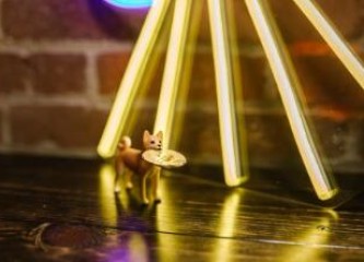 usd货币交易网_全球虚拟币交易平台app排行 最新版