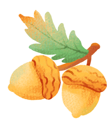 狗狗币未来分析_狗狗币未来的生长空间大吗_狗狗币的未来展望：面临的挑战与潜在机遇