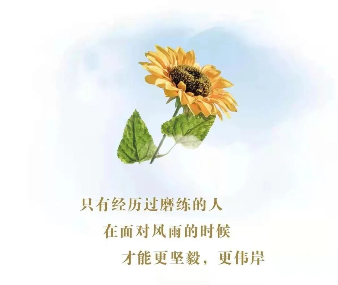 希望顾客来店里的句子_胖东来的服务哲学：满足每位顾客的期望_希望顾客满意的话语