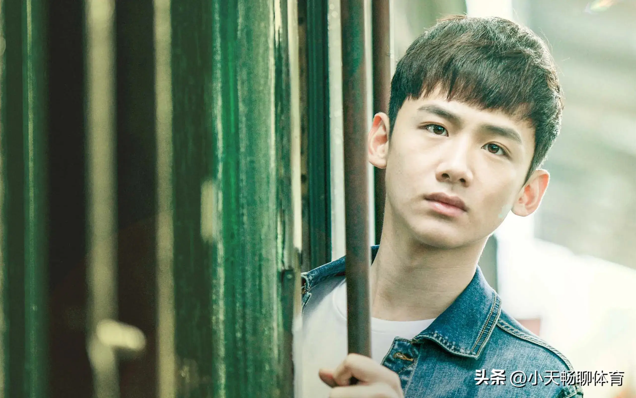 张晋的经典爱情故事与演绎_张晋感情经历_演绎经典张晋爱情故事视频