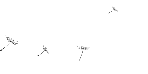 你的爱豆在环保行动中吗？明星环保行动及背后利益关联大集合