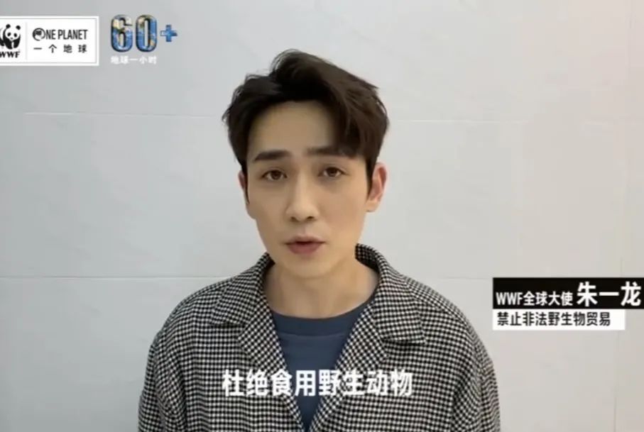 成龙的文化大使角色与影响_成龙做的形象大使都有哪些_成龙形象大使