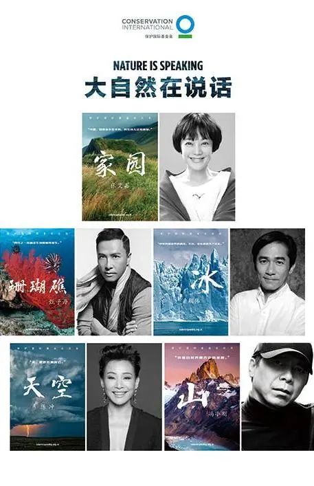 成龙做的形象大使都有哪些_成龙形象大使_成龙的文化大使角色与影响