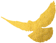 数字化浪潮下央行数字货币跨境结算关键平台mBridge项目新进展