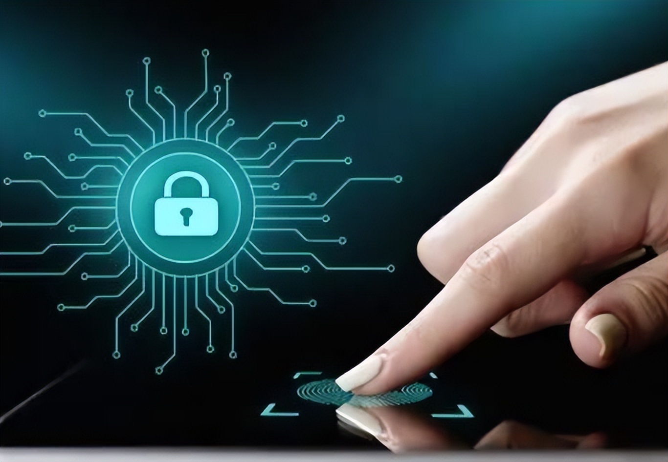 金融隐私权法律条文_去中心化金融的隐私保护机制研究_金融隐私泄露的主要类型