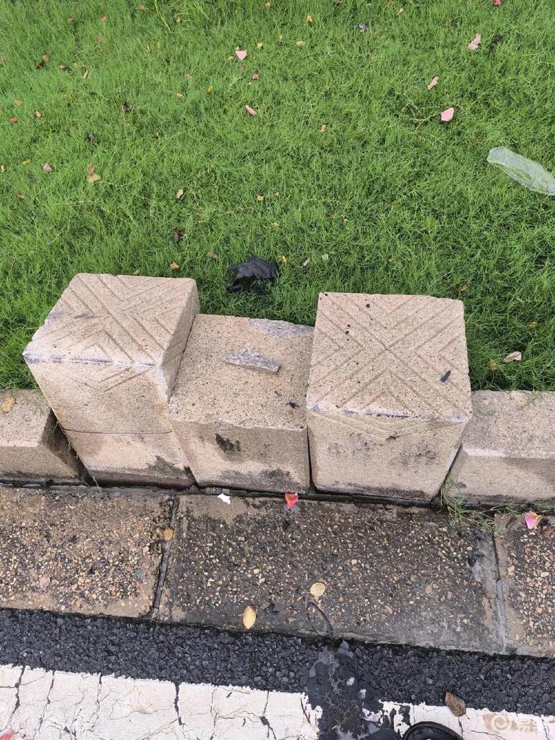 小米汽车SU7 Max的制动表现：如何确保安全？_小米进入汽车_小米max安全和隐私