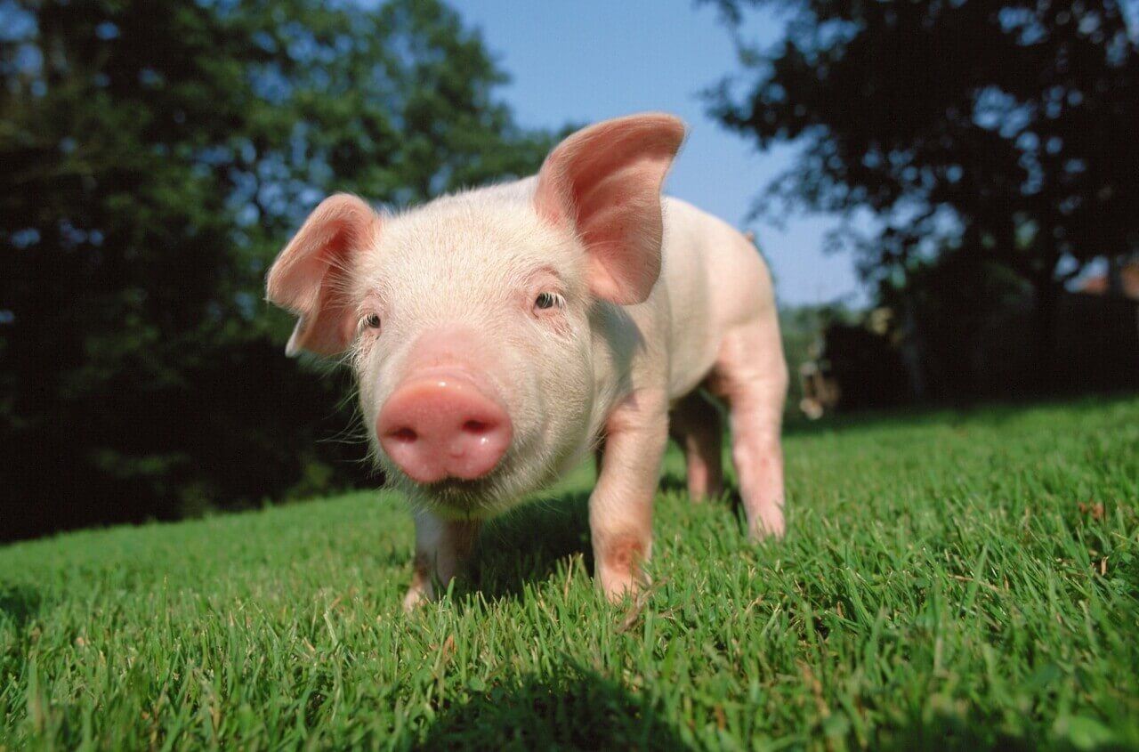 秦英林的创业模式与持续发展_持续的创业热情_创业模式创新