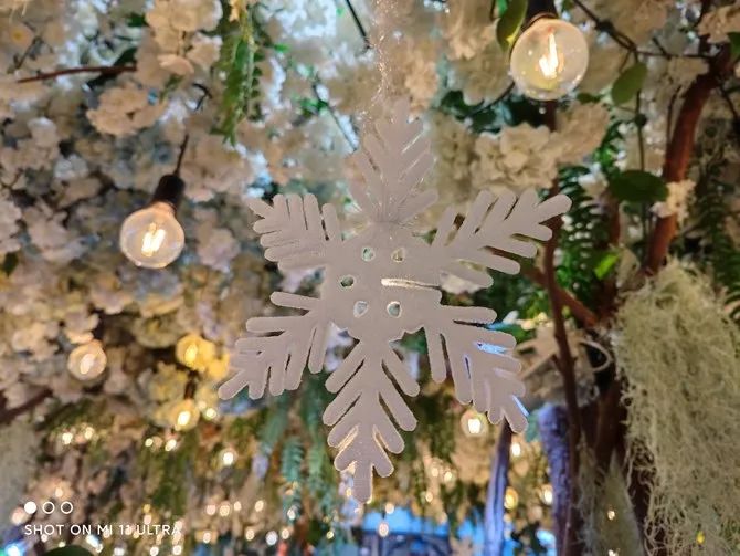 如何通过小米手机获得最佳拍照体验？_小米拍照功能最好的手机_小米拍照最好