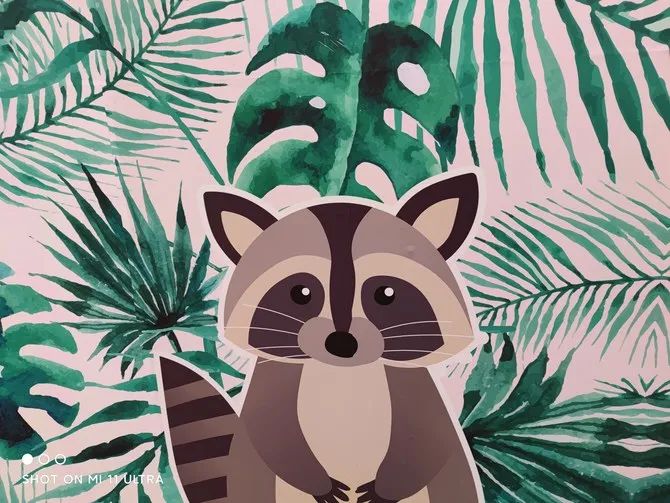 如何通过小米手机获得最佳拍照体验？_小米拍照最好_小米拍照功能最好的手机