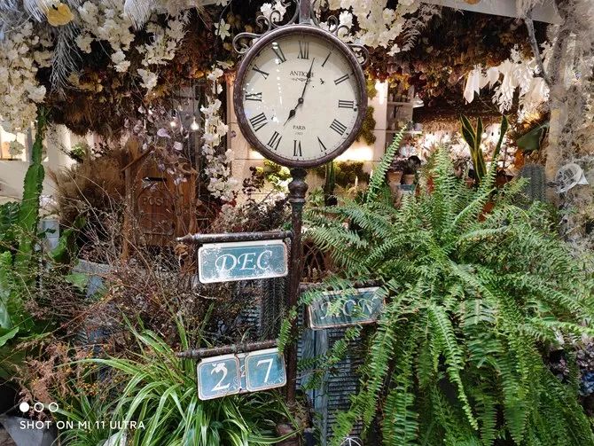 小米拍照功能最好的手机_如何通过小米手机获得最佳拍照体验？_小米拍照最好