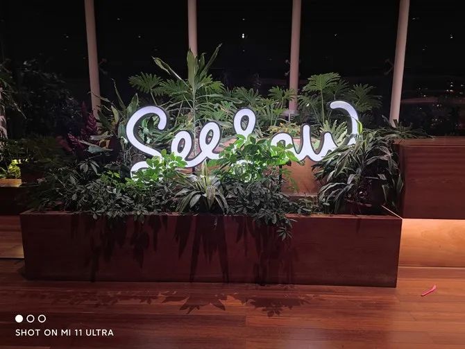 小米拍照最好_如何通过小米手机获得最佳拍照体验？_小米拍照功能最好的手机