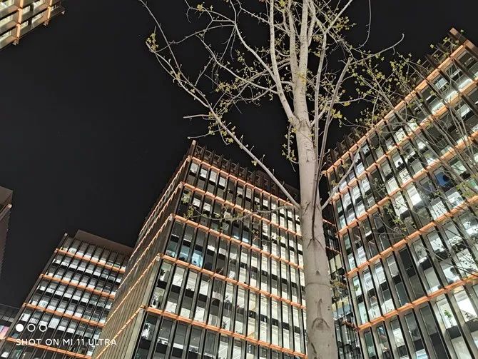 小米拍照最好_小米拍照功能最好的手机_如何通过小米手机获得最佳拍照体验？