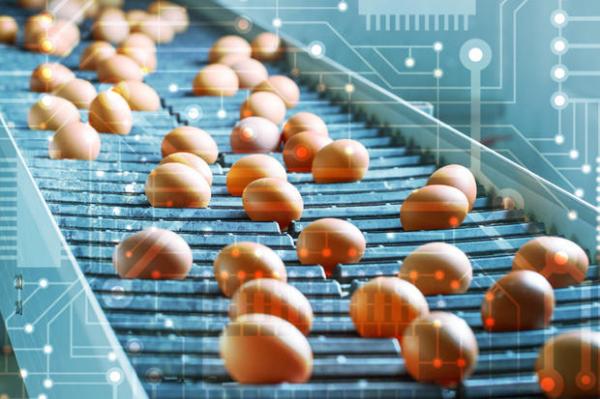 如何应对复杂供应链中的食品质量和安全问题：2017年美国食品召回事件分析