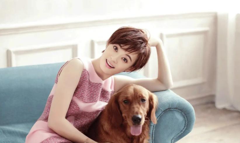 孙俪最近热播的电视剧_孙俪主演的电视剧全部_孙俪