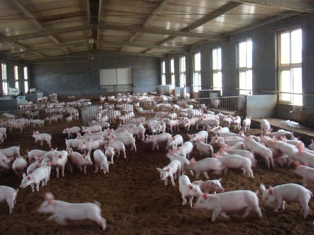 秦英林的创业模式与持续发展_持续创业者_持续的创业热情