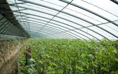 持续的创业热情_秦英林的创业模式与持续发展_持续创业者