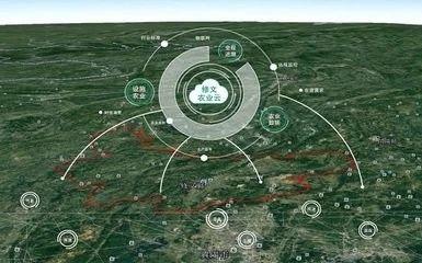 秦英林的创业模式与持续发展_持续的创业热情_持续创业者