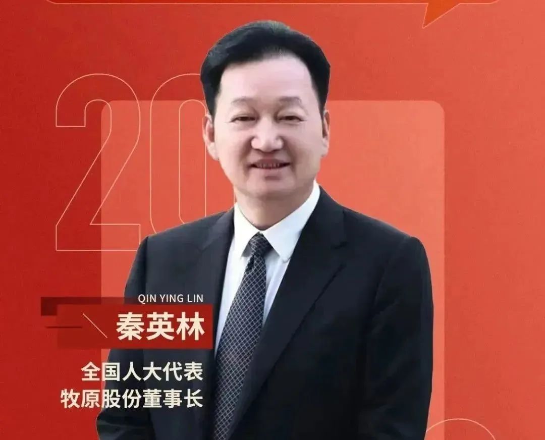 秦英林的创业模式与持续发展_持续创业者_创业模式创新