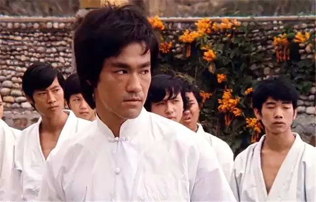 武术李小龙创新发展技术是什么_李小龙的技术创新与武术发展_李小龙创立的现代武术体系