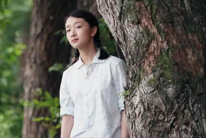 四大电影的角色关系与冲突探讨_角色冲突的例子_角色冲突观点