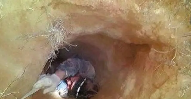 项羽众叛亲离的故事_项羽平定叛乱故事简介_项羽与平定叛乱的故事