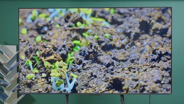 小米智能科技工作怎么样_生活依赖智能科技：小米全屋智能体验_小米智能科技家居