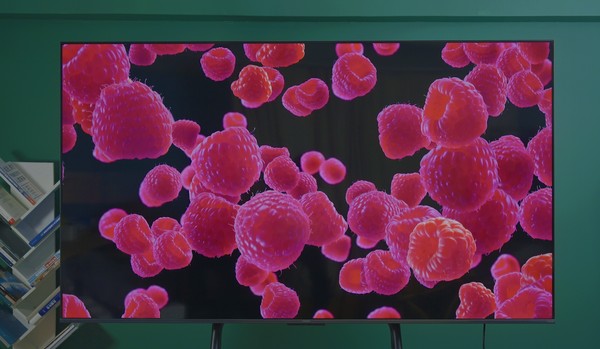 小米智能科技工作怎么样_生活依赖智能科技：小米全屋智能体验_小米智能科技家居