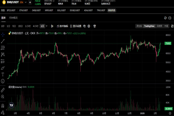 区块链应用程序_了解BNB币的技术创新：区块链应用的现实挑战与突破_应用区块链的公司有哪些