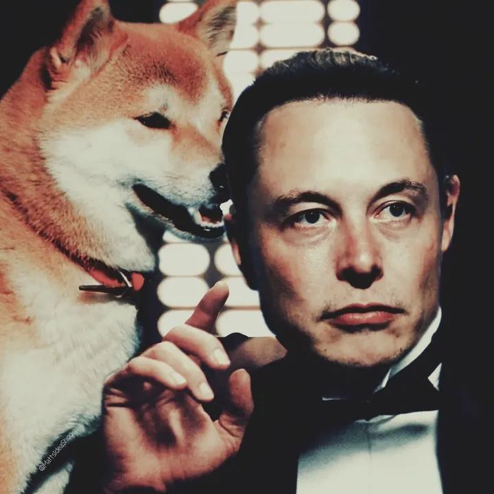 比特币与狗狗币_比特币行情狗狗币_比特币与狗狗币的理念差异：去中心化的不同表现形式