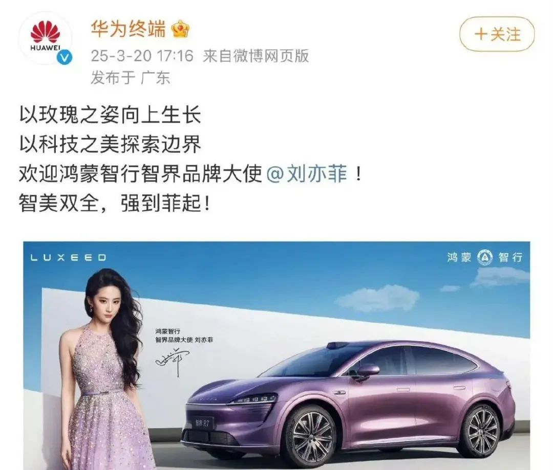 刘亦菲完美世界惊艳_刘亦菲：美丽与智慧的完美结合_刘亦菲完美智慧美丽结合图片