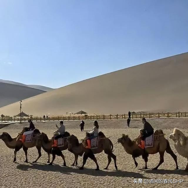 关之琳成长经历_关之琳的个人生活与成长故事_关之琳的生活史