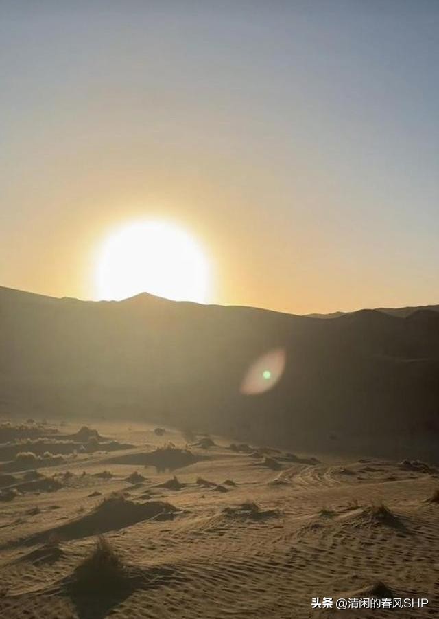 关之琳的个人生活与成长故事_关之琳的生活史_关之琳成长经历