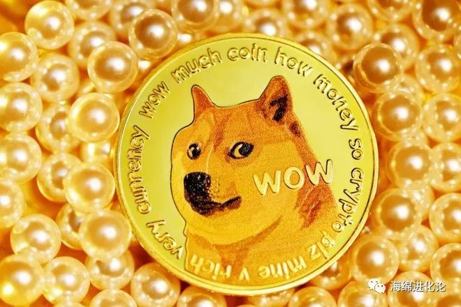 狗狗币DOGE周末价格预测：月球任务引发加密社区关注与价格波动预期