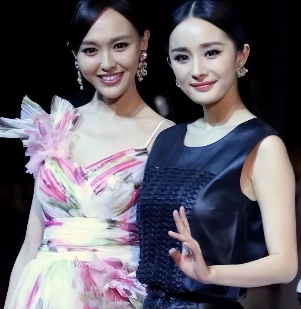 杨幂公关成功案例_杨幂公益_杨幂的社交活动与公众形象