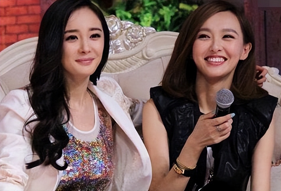 杨幂公益_杨幂的社交活动与公众形象_杨幂公关成功案例