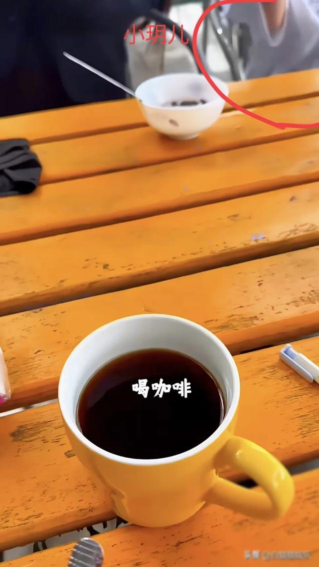 张雨绮的个人生活与隐私保护_一楼窗户怎么保护隐私_张雨绮私下生活