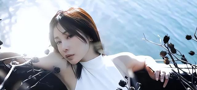 杨幂的公众号_杨幂的社交活动与公众形象_杨幂公关团队