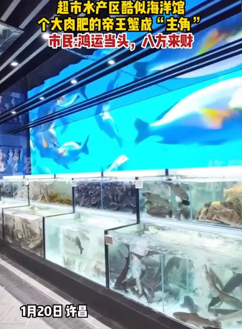 胖东来能否赢得信任，供应链是关键_胖东来能否赢得信任，供应链是关键_胖东来能否赢得信任，供应链是关键