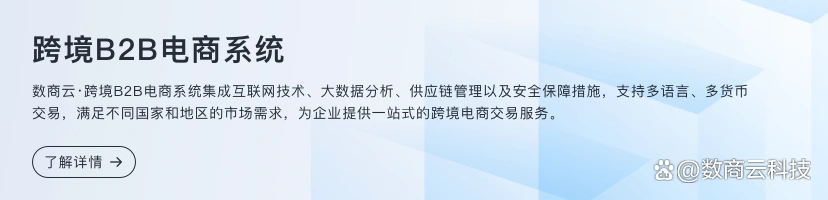 跨境B2B电商市场潜力与趋势：企业拓展国际市场的关键策略