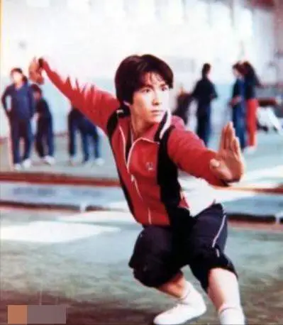 甄子丹的武术与演艺生涯：从波士顿到香港的传奇旅程