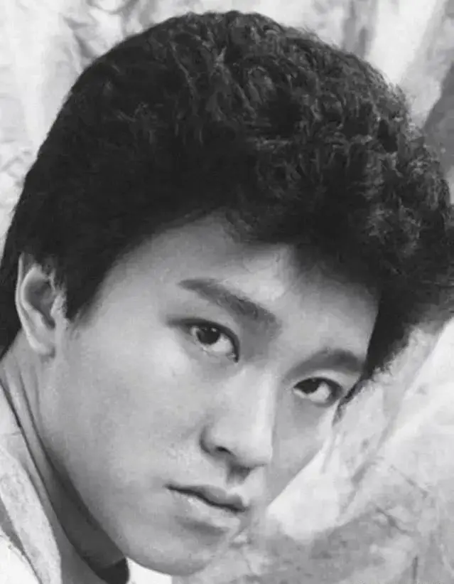 甄子丹与周星驰电影中的李小龙影响：从刑警本色到动作巨星的转变