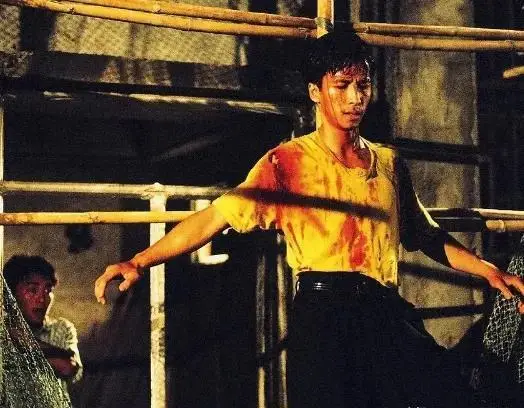 甄子丹在国际影坛的成就_甄子丹的成就_甄子丹国际知名度