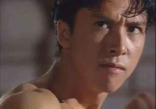 甄子丹国际知名度_甄子丹的成就_甄子丹在国际影坛的成就