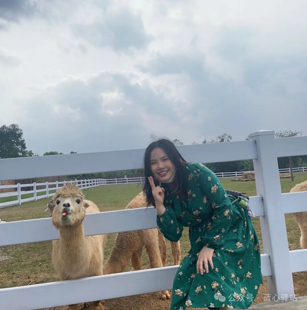 周慧敏的心灵成长与人生态度_周慧敏的心灵成长与人生态度_周慧敏的心灵成长与人生态度