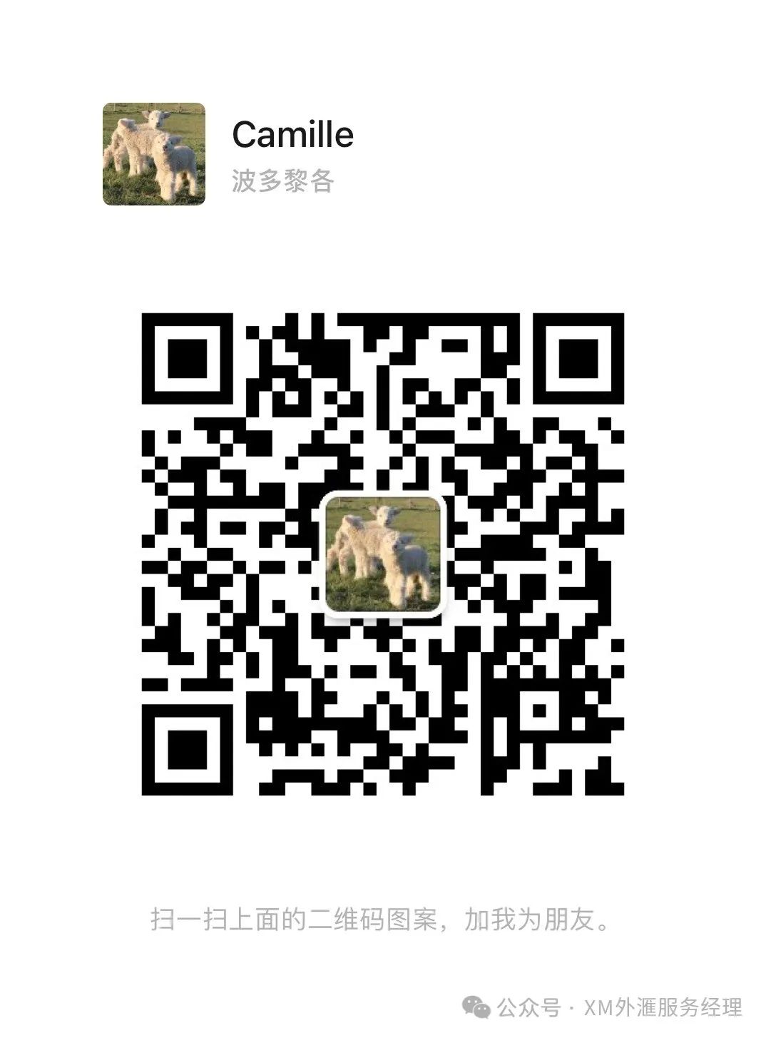 资产种类：Plus500 提供多种加密货币作为差价合约进行交易，包括比特币、以太坊、莱特币等。这为有意多元化加密货币投资组合的交易者提供了广泛的选择。_加密货币交易_加密货币合约是什么意思