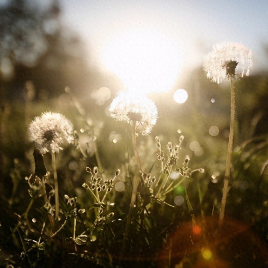 如何区分真正的数字货币与伪数字货币？缺乏风险意识是最大的风险