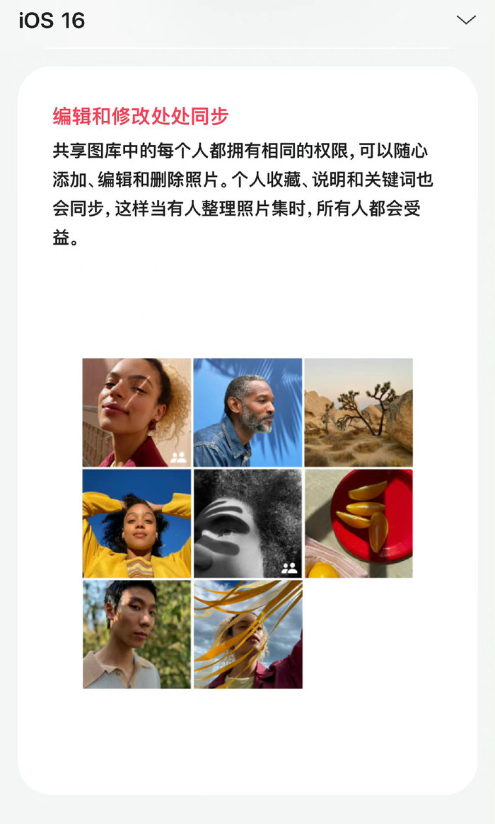 手机的便捷性_便捷环境下的最新手机系统特点_便捷下载高级版app