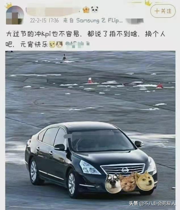 张子枫_张子枫演的电影_张子枫个人资料