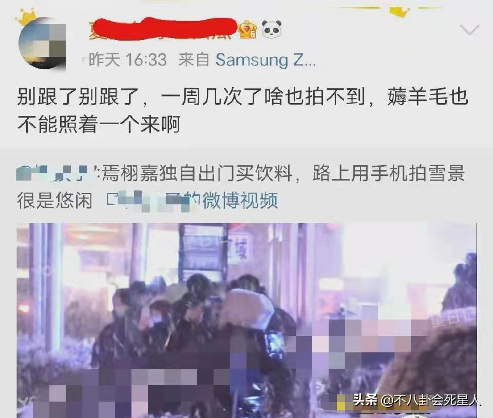 张子枫个人资料_张子枫演的电影_张子枫